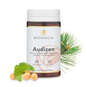 Audizen