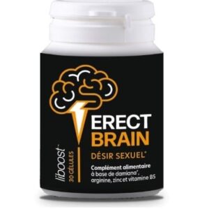 Erect Brain