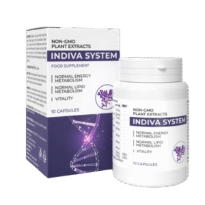 InDiva System